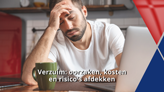 Verzuim_ oorzaken, kosten en risico's afdekken